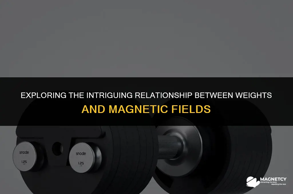 can weights affect a magnetic field