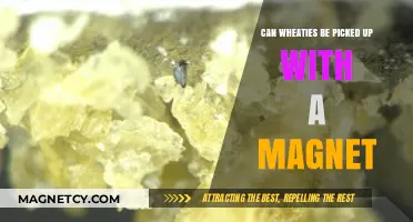 Magnetic Attraction: Unraveling the Mystery of Wheaties and Magnets