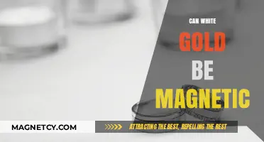 Unveiling the Truth: Can White Gold Really Be Magnetic?