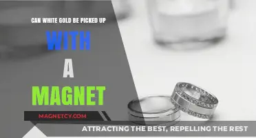 Unveiling the Truth: Does White Gold Respond to Magnets?