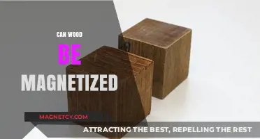 Exploring the Magnetic Potential of Wood: Facts and Experiments