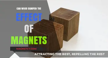 Exploring the Magnetic Mysteries: Does Wood Weaken Magnetism?