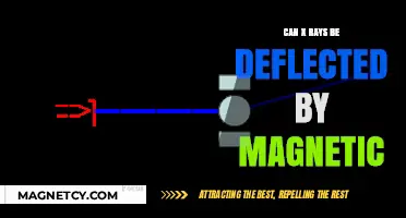 Exploring the Interaction: Can X-Rays Be Deflected by Magnetic Fields?