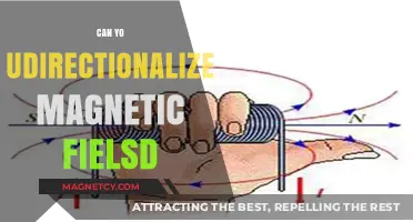 Exploring the Possibilities: Can You Directionalize Magnetic Fields?