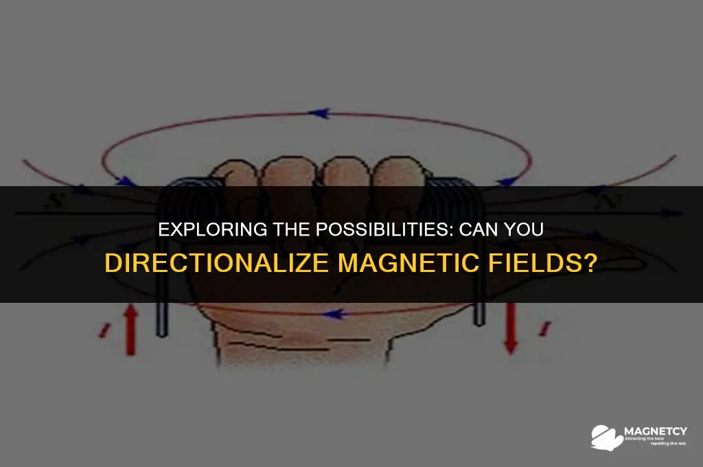 can yo udirectionalize magnetic fielsd