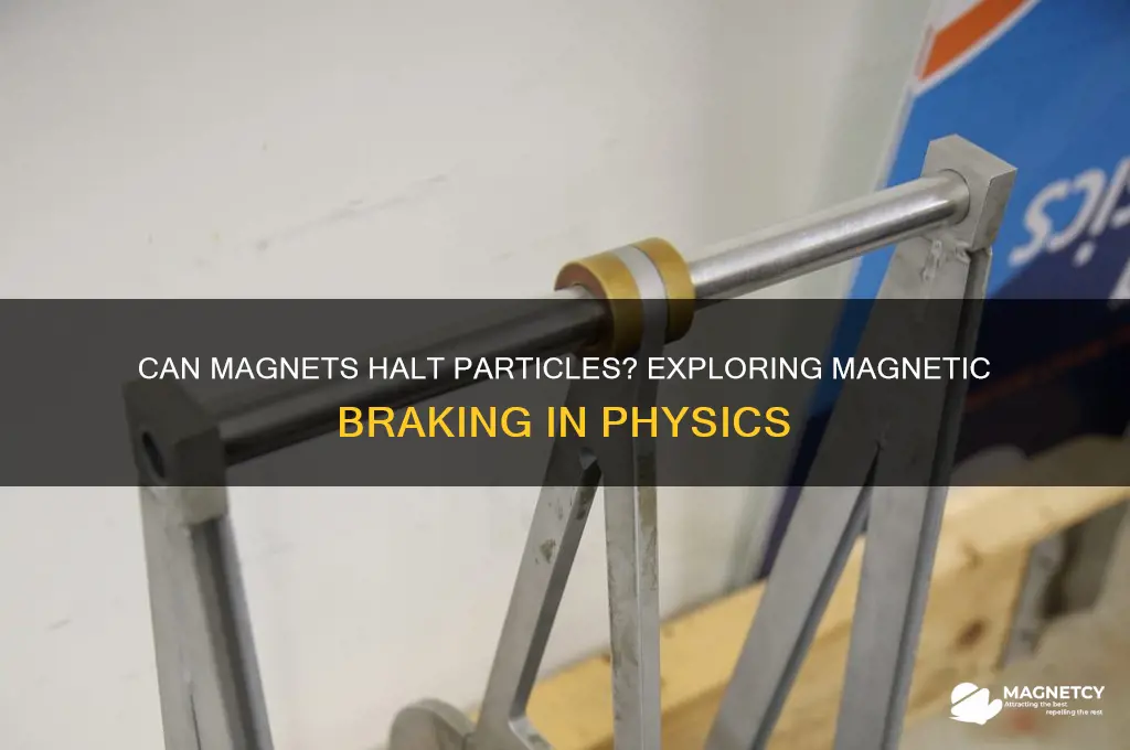 can yopu use a magnet to stop a particle