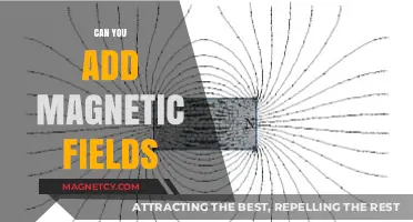 Exploring the Possibilities: Can Magnetic Fields Be Added?