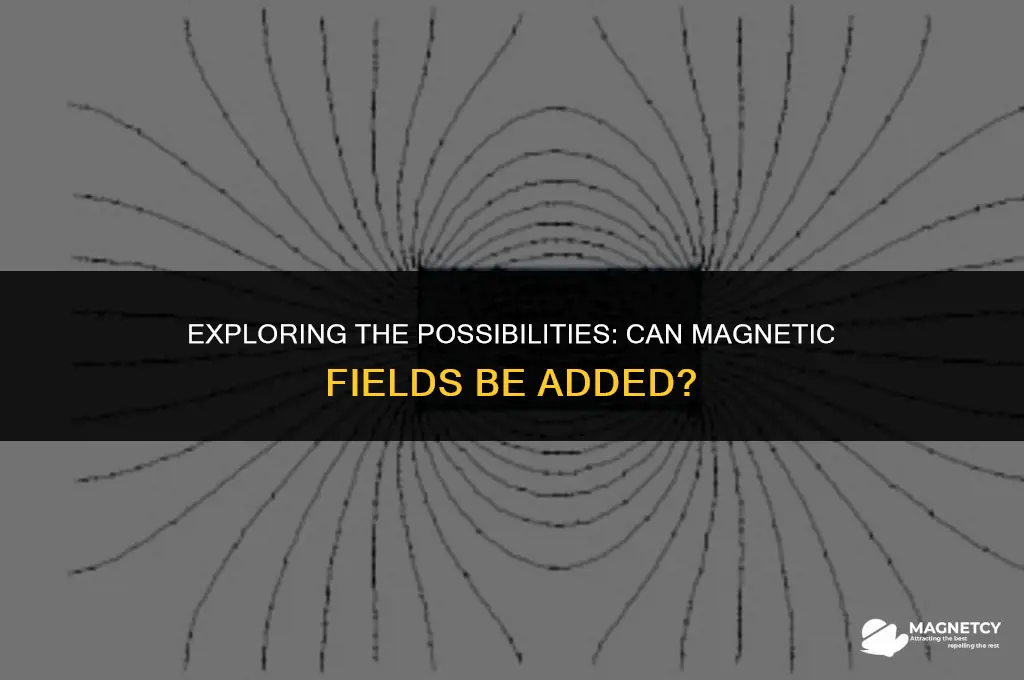 can you add magnetic fields