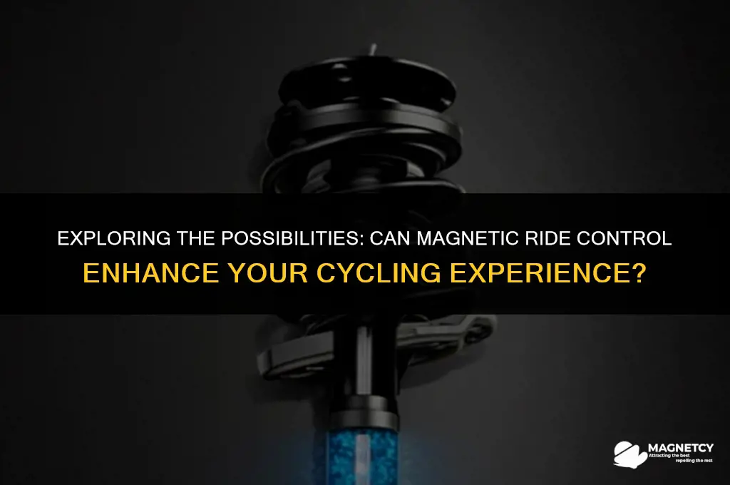 can you add magnetic ride control