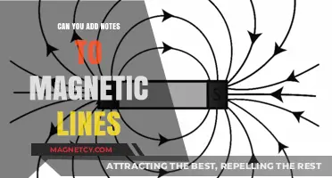 Exploring the Possibilities: Adding Notes to Magnetic Lines