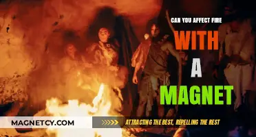Exploring the Magnetic Influence on Fire: Myths and Realities
