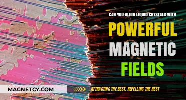 Exploring the Alignment of Liquid Crystals with Strong Magnetic Fields