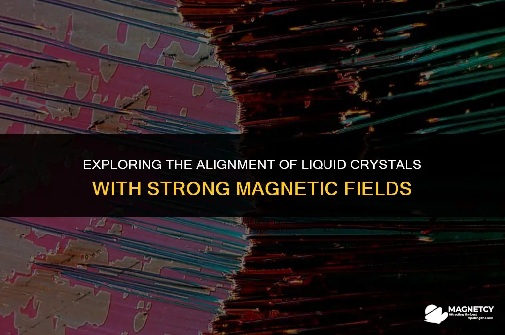 can you align liquid crystals with powerful magnetic fields