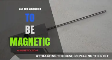 Unlocking Magnetism: The Art of Alignment and Attraction