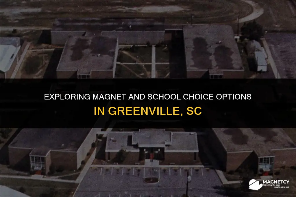 can you apply for magnet and school choice greenville sc