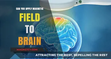 Exploring the Effects of Magnetic Fields on Brain Function