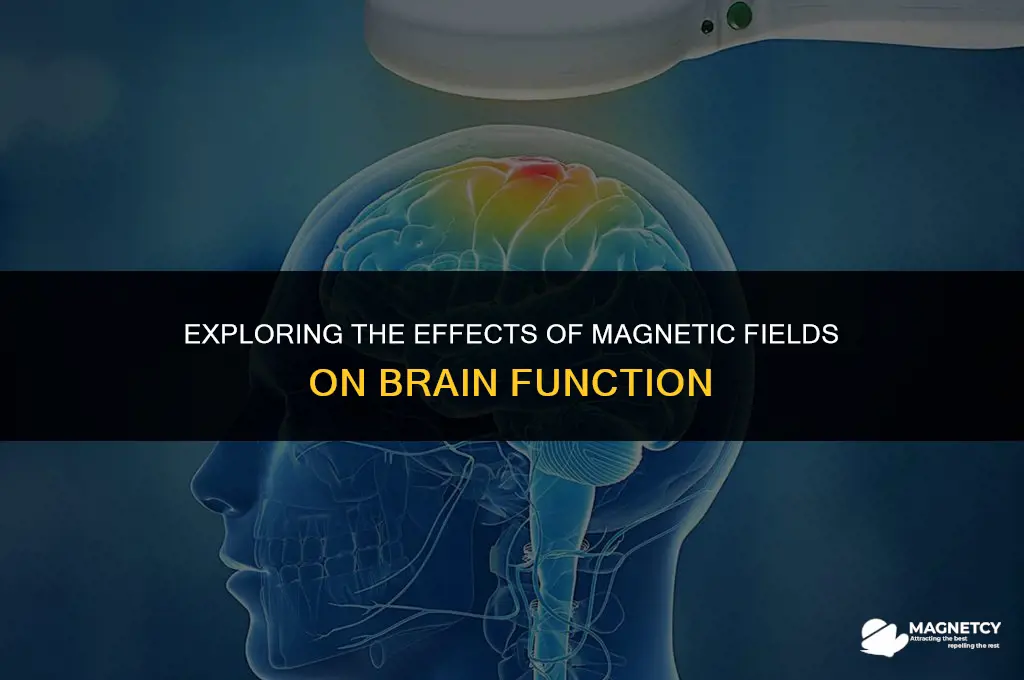can you apply magnetic field to brain