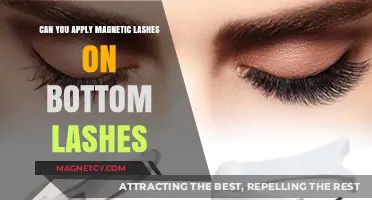 Magnetic Lashes on Bottom Lashes: A Simple Guide