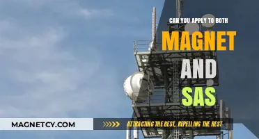 Exploring Dual Applications: Magnet and SAS Programs