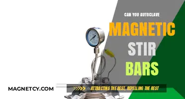 Sterilizing Magnetic Stir Bars: Autoclaving Essentials for Lab Safety