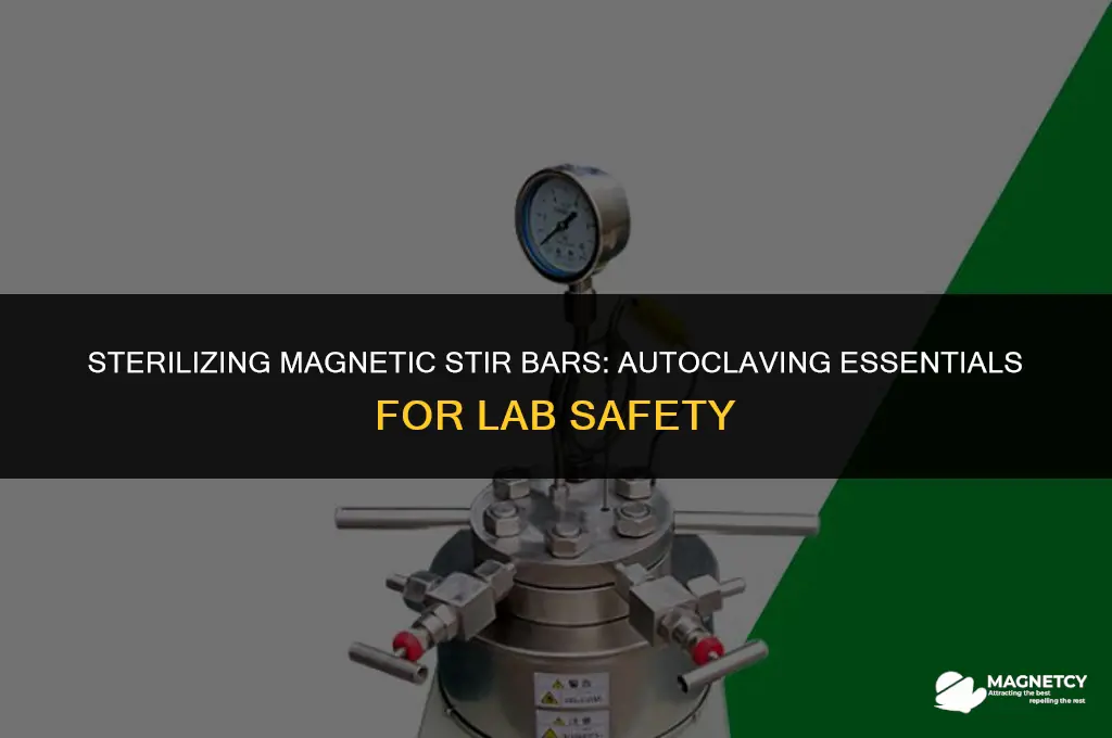 can you autoclave magnetic stir bars