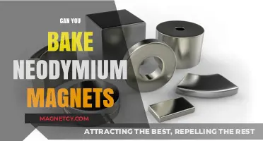 Exploring the Science: Can You Really Bake Neodymium Magnets?