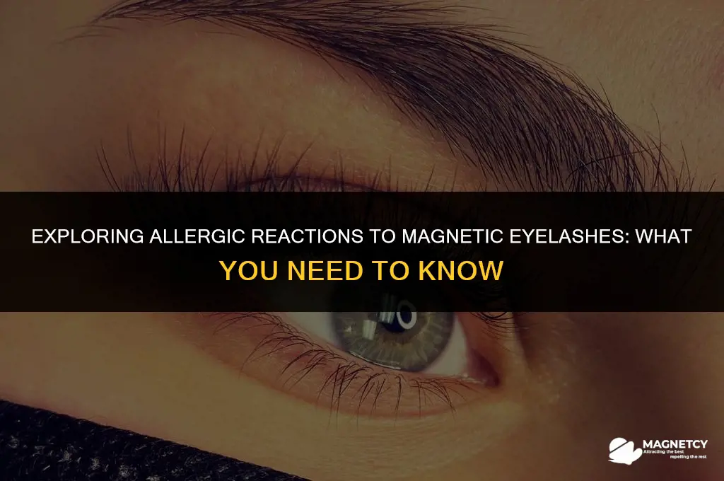can you be allergic to magnetic eyelashes