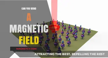 Exploring the Flexibility of Magnetic Fields: A Comprehensive Guide