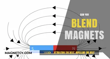 Exploring the Science Behind Blending Magnets: A Fascinating Journey