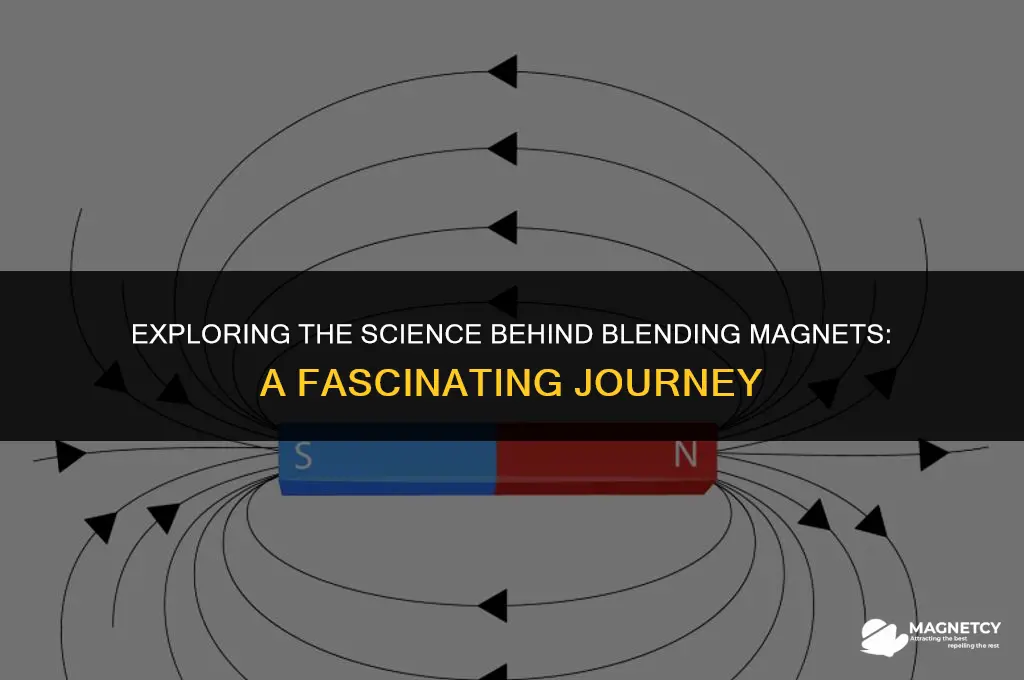 can you blend magnets