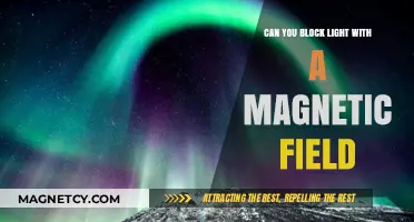Exploring the Limits: Can Magnetic Fields Block Light?
