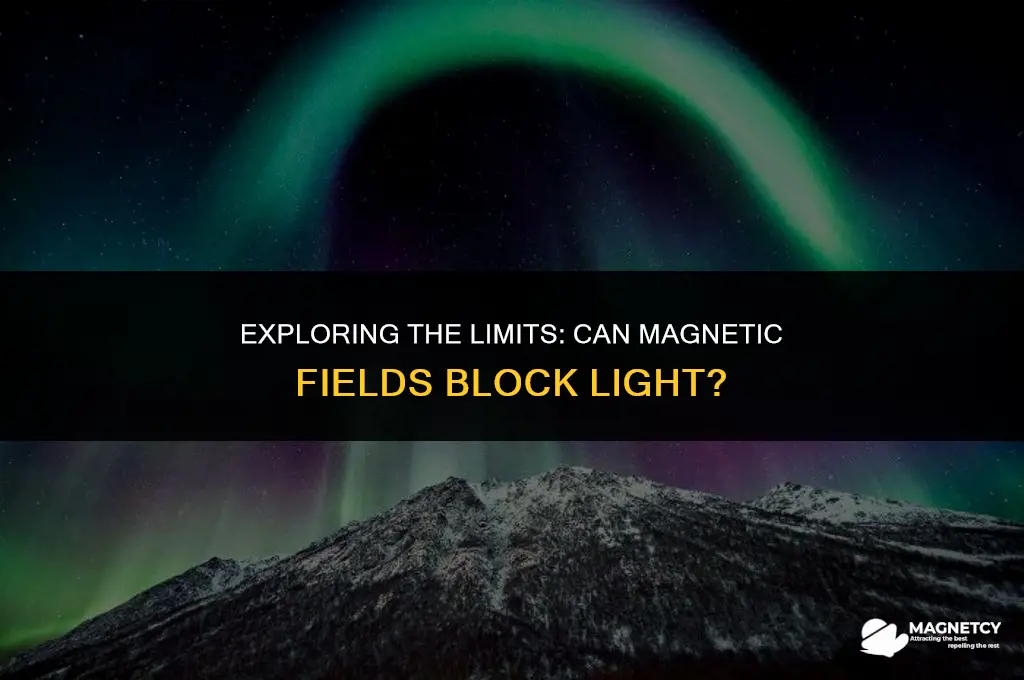 can you block light with a magnetic field