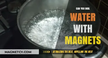 Exploring the Science: Can Magnets Really Boil Water?