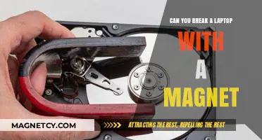 Magnetic Menace: Can Your Laptop Survive a Magnetic Encounter?