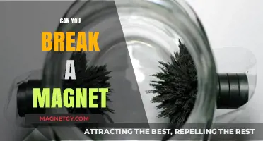 Exploring the Limits: Can You Really Break a Magnet?