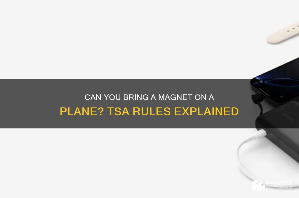 can you bring a magnet on a plane