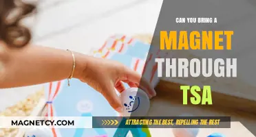 Navigating TSA Security: The Truth About Magnets in Carry-Ons