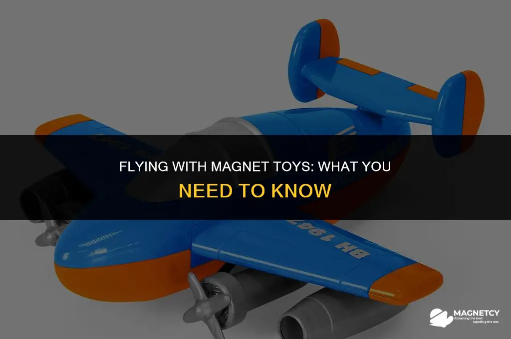 can you bring magnet toys on a plane