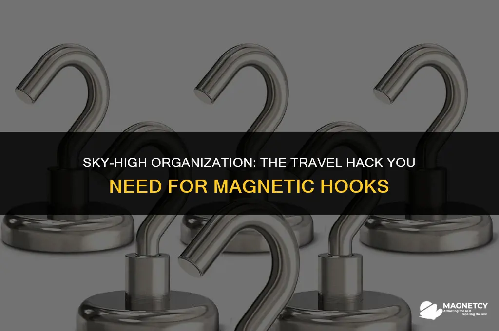can you bring magnetic hooks on a plane