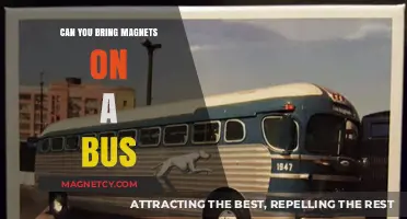 Magnetic Commute: Exploring the Rules of Bringing Magnets on Buses