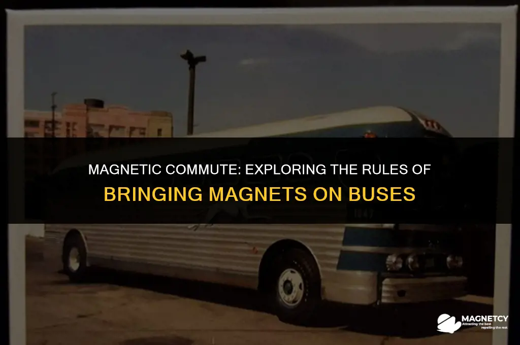 can you bring magnets on a bus