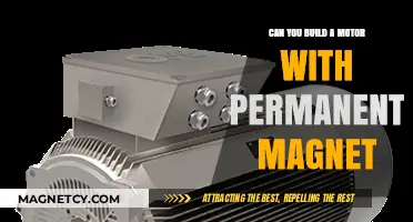 Exploring the Possibilities: Can Permanent Magnets Power Your Motor?