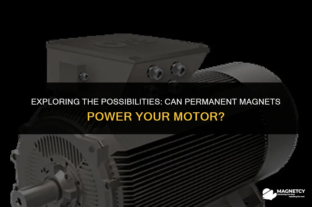 can you build a motor with permanent magnet
