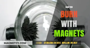 Exploring the Fiery Side of Magnetism: Can You Really Burn with Magnets?