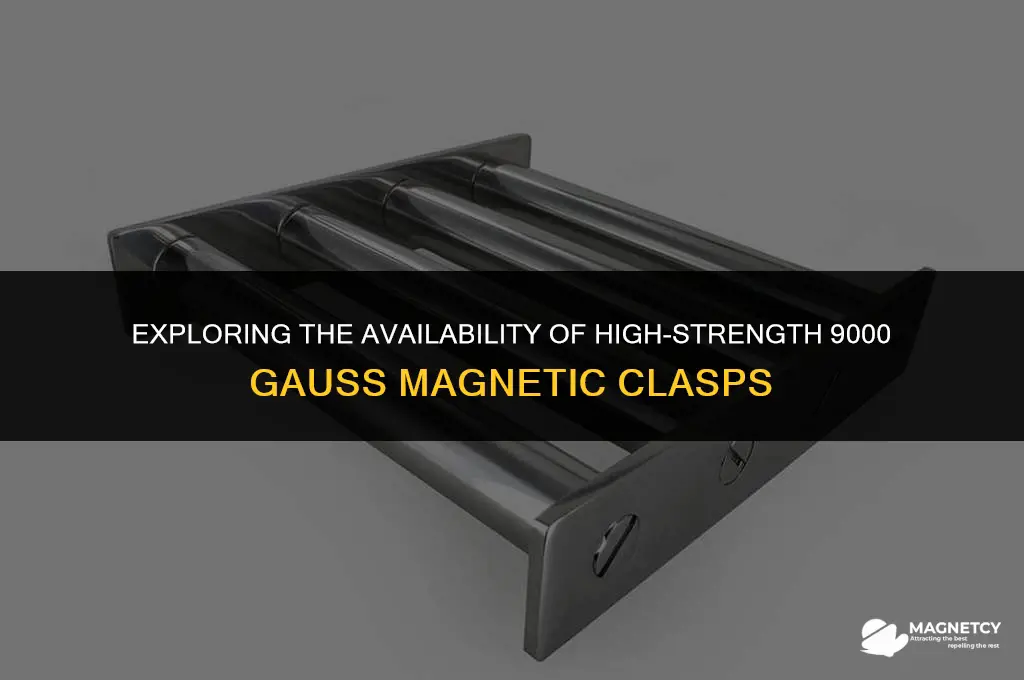 can you buy a 9000 gauss magnetic clasps