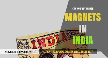 Exploring the Availability of Fridge Magnets in India: A Comprehensive Guide