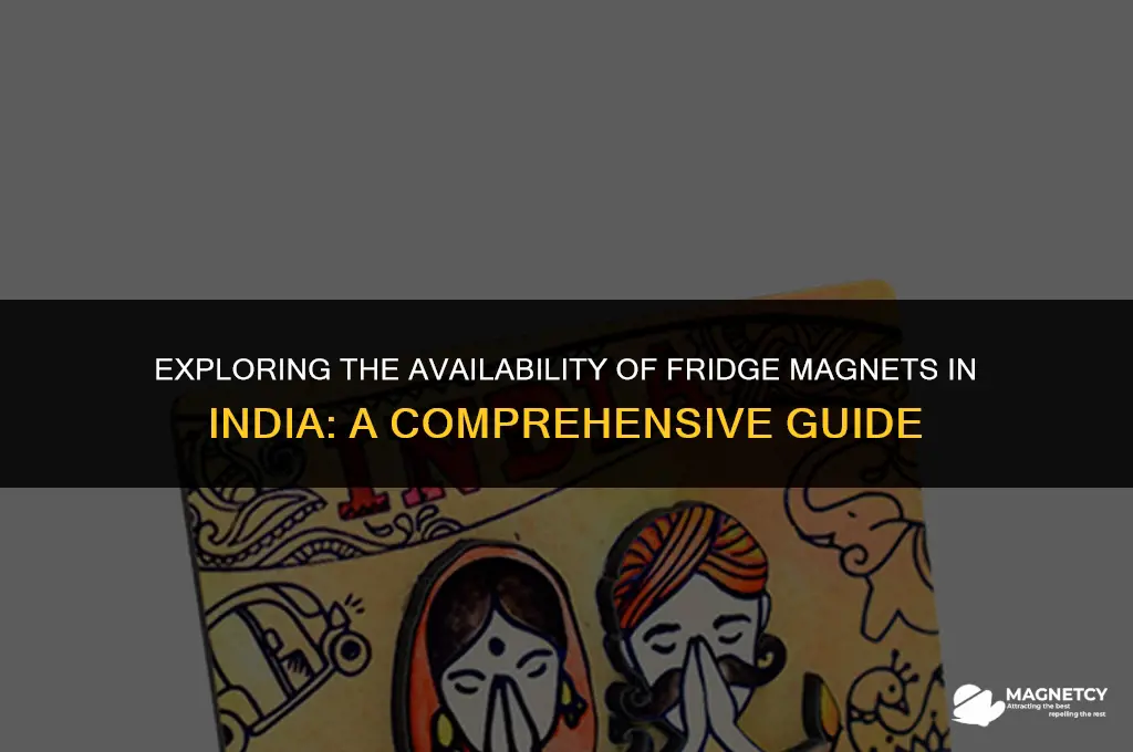 can you buy fridge magnets in india