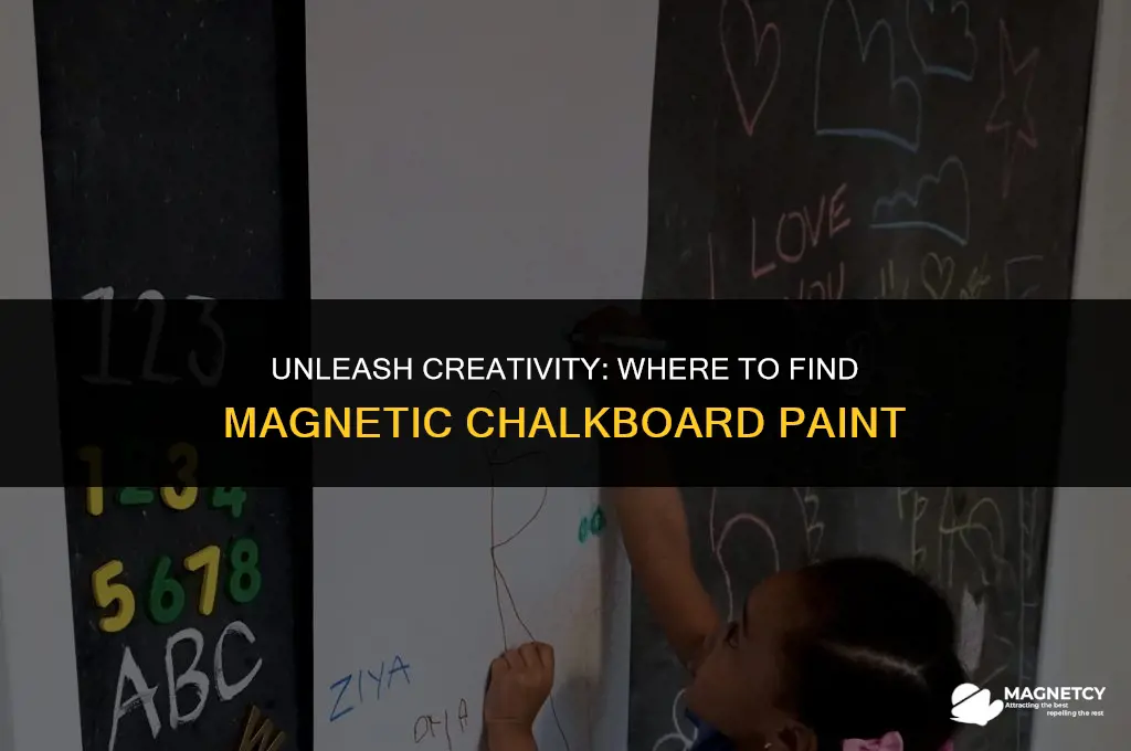 can you buy magnetic chalkboard paint