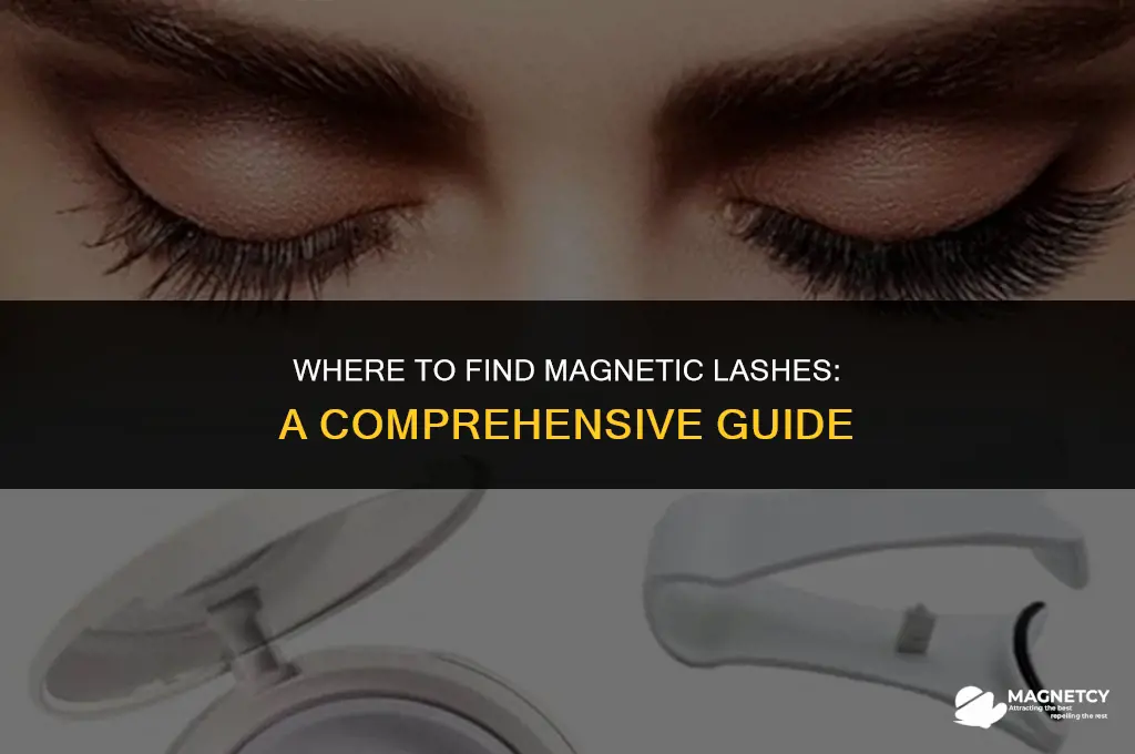 can you buy magnetic lashes in stores