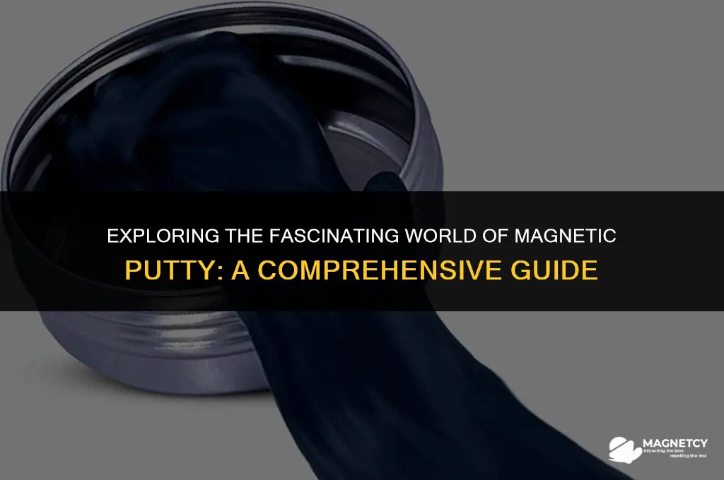 can you buy magnetic putty